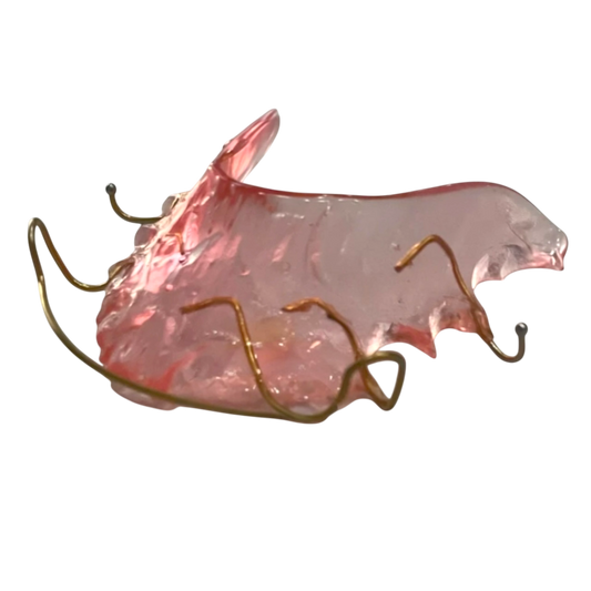 Gold Wire Wrap Around or Hawley Retainer